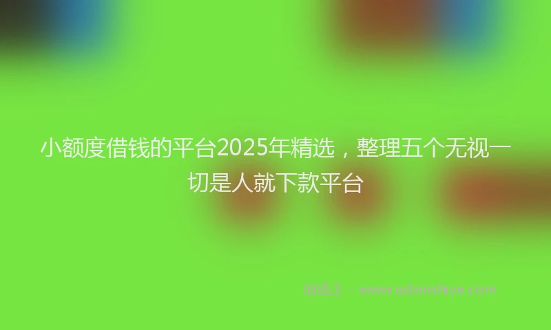 小额度借钱的平台2025年精选，整理五个无视一切是人就下款平台