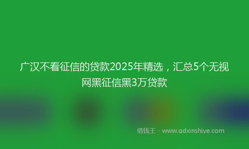 广汉不看征信的贷款2025年精选，汇总5个无视网黑征信黑3万贷款