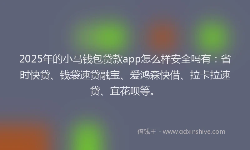 2025年的小马钱包贷款app怎么样安全吗有：省时快贷、钱袋速贷融宝、爱鸿森快借、拉卡拉速贷、宜花呗等。