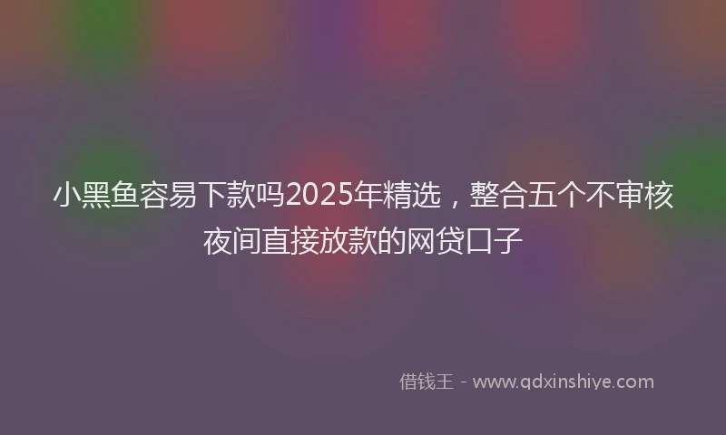 小黑鱼容易下款吗2025年精选，整合五个不审核夜间直接放款的网贷口子