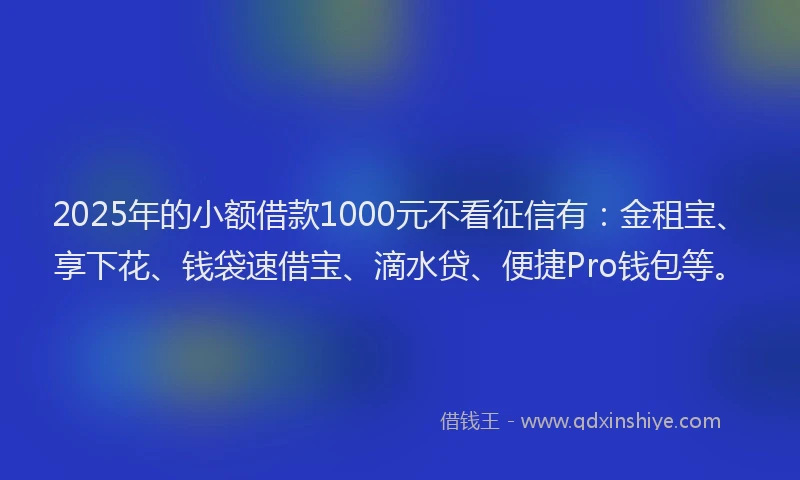 2025年的小额借款1000元不看征信有：金租宝、享下花、钱袋速借宝、滴水贷、便捷Pro钱包等。