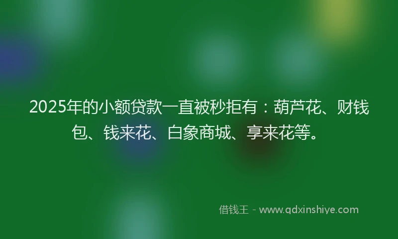 2025年的小额贷款一直被秒拒有：葫芦花、财钱包、钱来花、白象商城、享来花等。