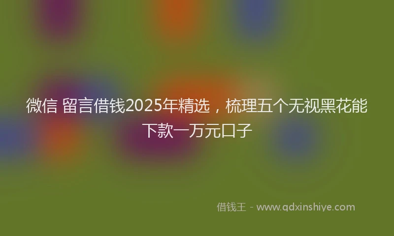 微信 留言借钱2025年精选，梳理五个无视黑花能下款一万元口子