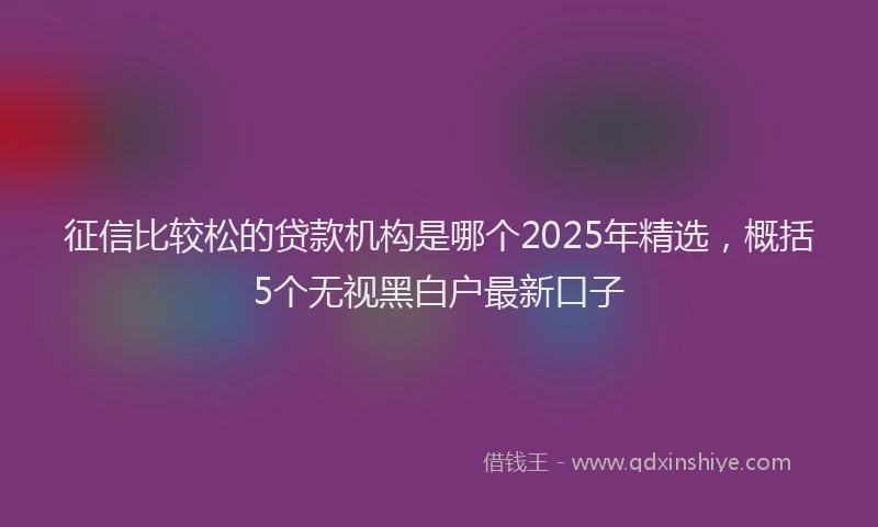 征信比较松的贷款机构是哪个2025年精选，概括5个无视黑白户最新口子