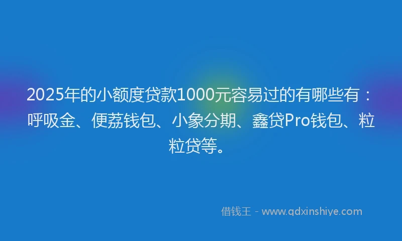 2025年的小额度贷款1000元容易过的有哪些有：呼吸金、便荔钱包、小象分期、鑫贷Pro钱包、粒粒贷等。