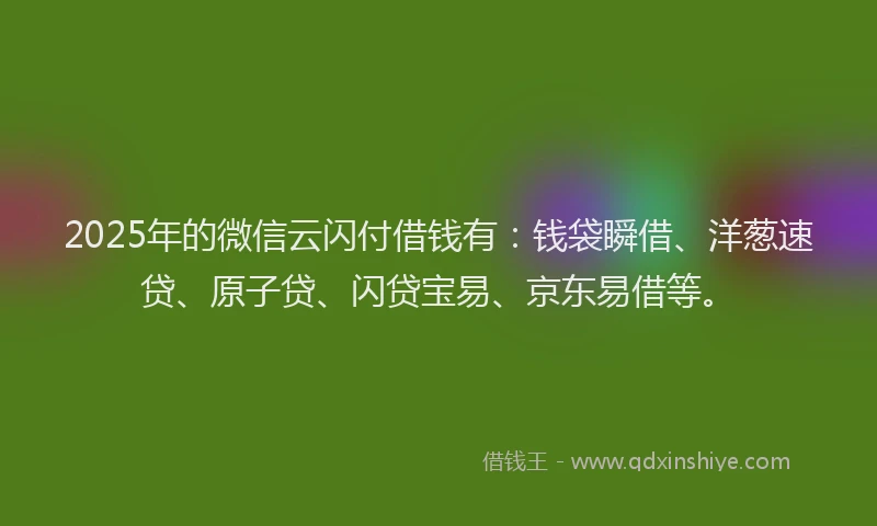 2025年的微信云闪付借钱有：钱袋瞬借、洋葱速贷、原子贷、闪贷宝易、京东易借等。