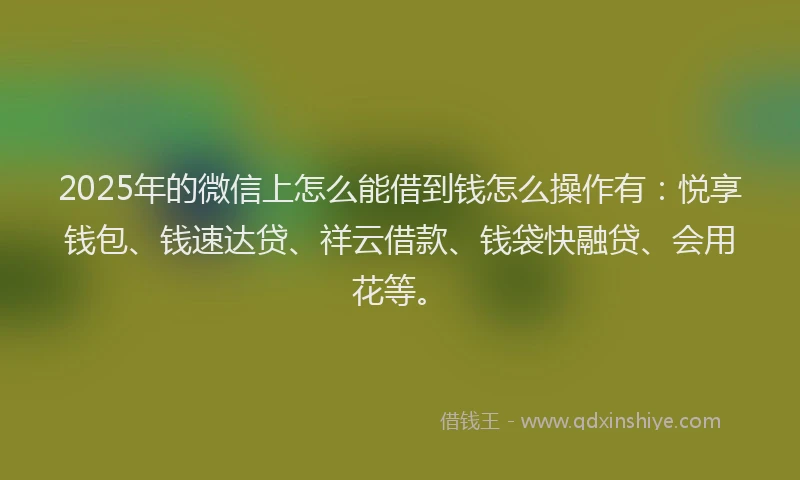 2025年的微信上怎么能借到钱怎么操作有：悦享钱包、钱速达贷、祥云借款、钱袋快融贷、会用花等。