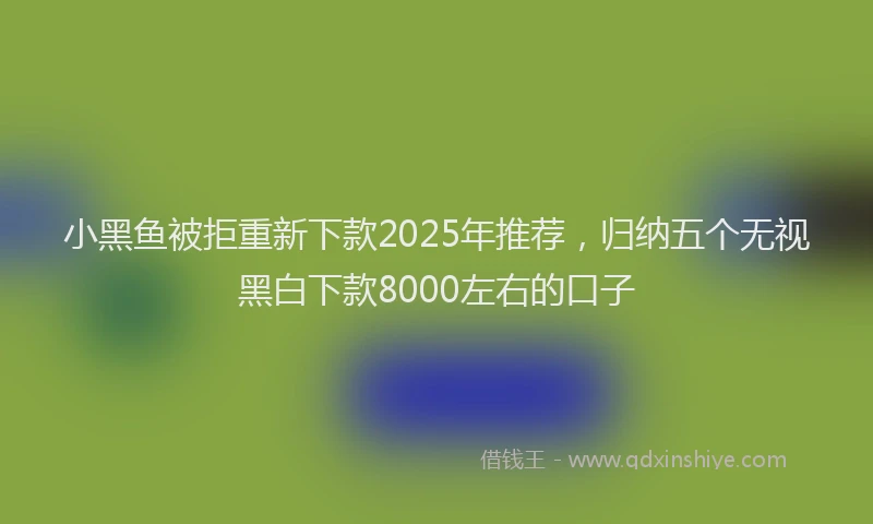 小黑鱼被拒重新下款2025年推荐，归纳五个无视黑白下款8000左右的口子
