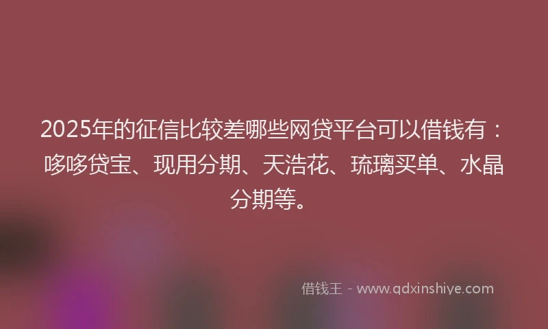 2025年的征信比较差哪些网贷平台可以借钱有：哆哆贷宝、现用分期、天浩花、琉璃买单、水晶分期等。