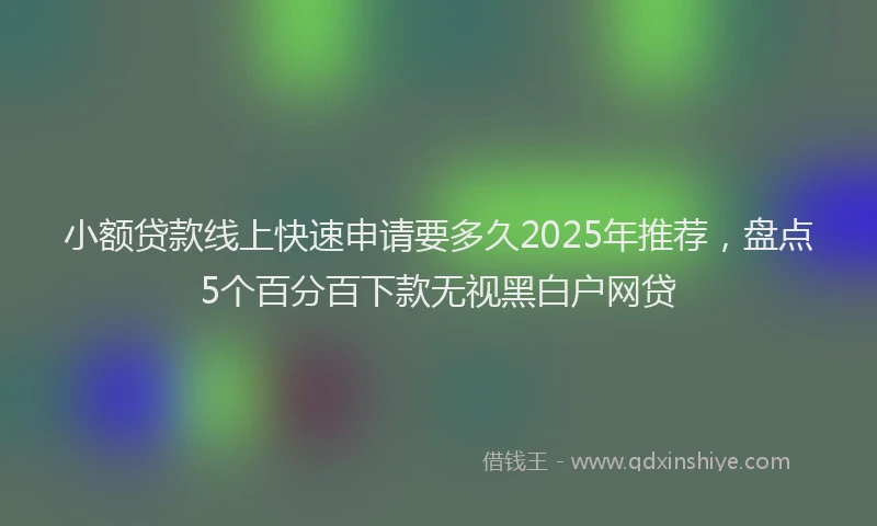 小额贷款线上快速申请要多久2025年推荐，盘点5个百分百下款无视黑白户网贷