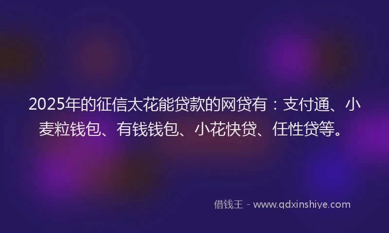 2025年的征信太花能贷款的网贷有：支付通、小麦粒钱包、有钱钱包、小花快贷、任性贷等。