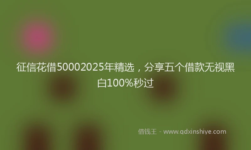 征信花借50002025年精选，分享五个借款无视黑白100%秒过