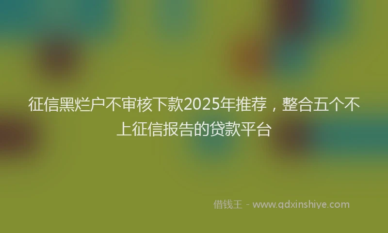 征信黑烂户不审核下款2025年推荐，整合五个不上征信报告的贷款平台