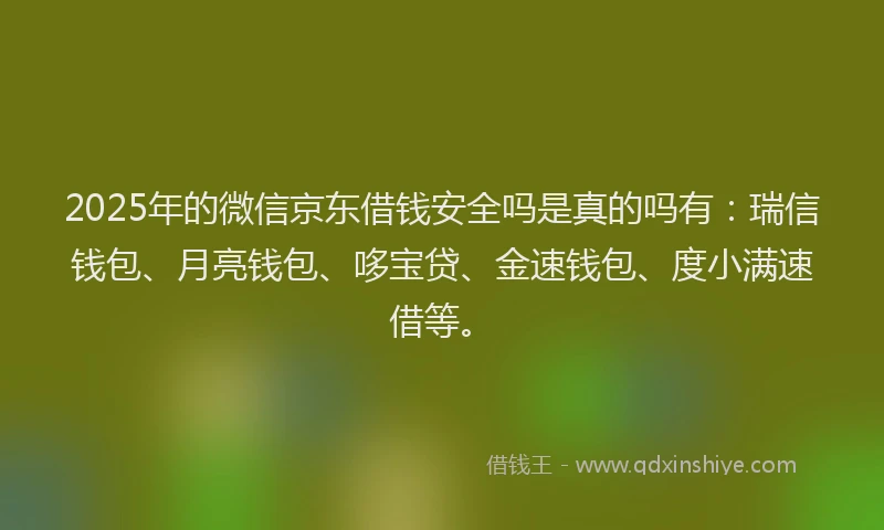 2025年的微信京东借钱安全吗是真的吗有：瑞信钱包、月亮钱包、哆宝贷、金速钱包、度小满速借等。