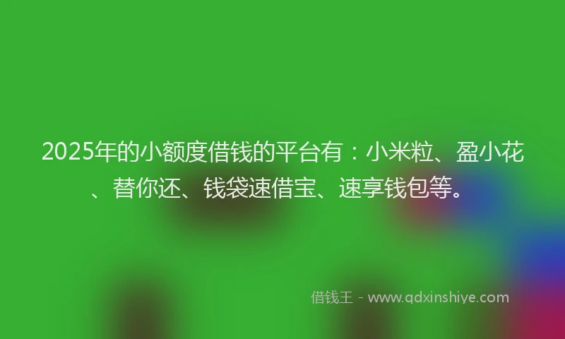 2025年的小额度借钱的平台有：小米粒、盈小花、替你还、钱袋速借宝、速享钱包等。