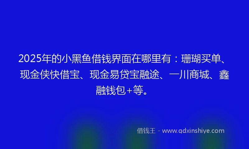 2025年的小黑鱼借钱界面在哪里有：珊瑚买单、现金侠快借宝、现金易贷宝融途、一川商城、鑫融钱包+等。