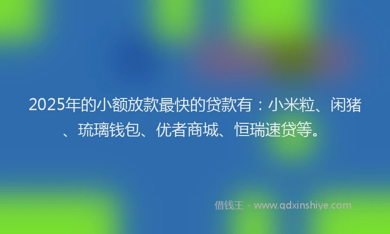 2025年的小额放款最快的贷款有：小米粒、闲猪、琉璃钱包、优者商城、恒瑞速贷等。