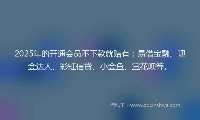 2025年的开通会员不下款就赔有：易借宝融、现金达人、彩虹信贷、小金鱼、宜花呗等。