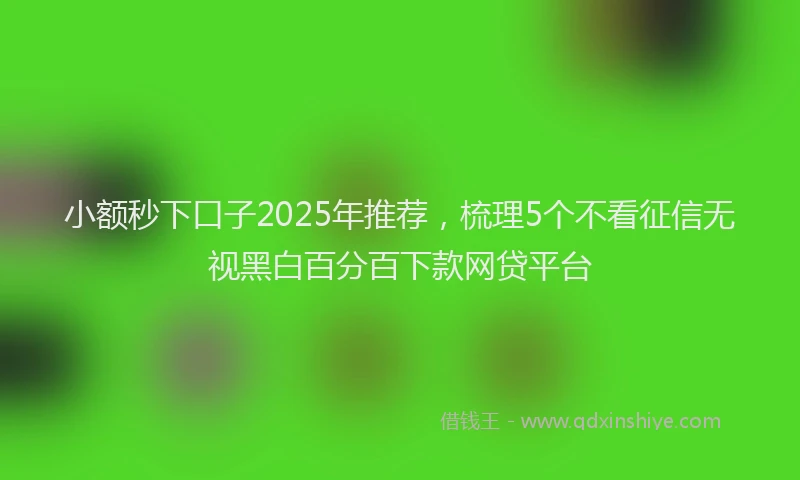 小额秒下口子2025年推荐，梳理5个不看征信无视黑白百分百下款网贷平台