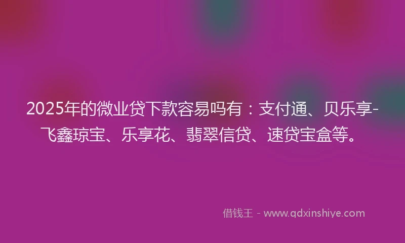 2025年的微业贷下款容易吗有：支付通、贝乐享-飞鑫琼宝、乐享花、翡翠信贷、速贷宝盒等。