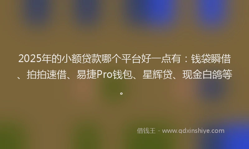 2025年的小额贷款哪个平台好一点有：钱袋瞬借、拍拍速借、易捷Pro钱包、星辉贷、现金白鸽等。