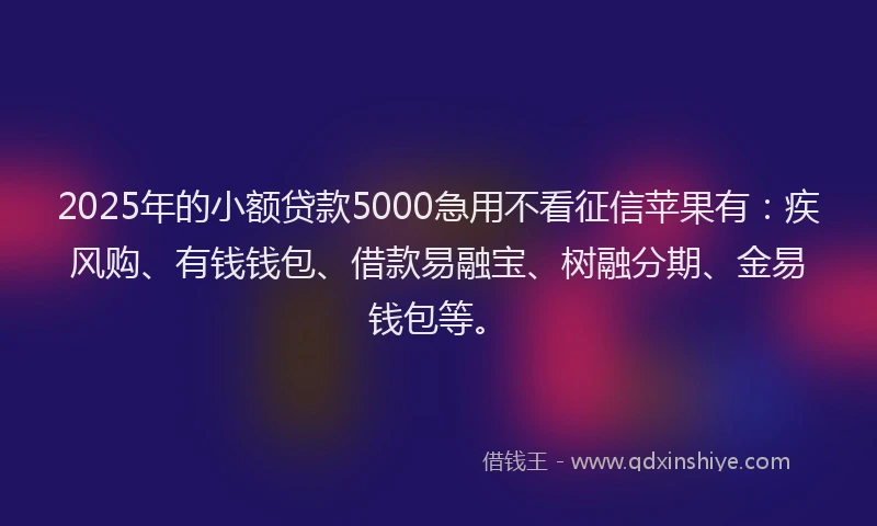 2025年的小额贷款5000急用不看征信苹果有：疾风购、有钱钱包、借款易融宝、树融分期、金易钱包等。