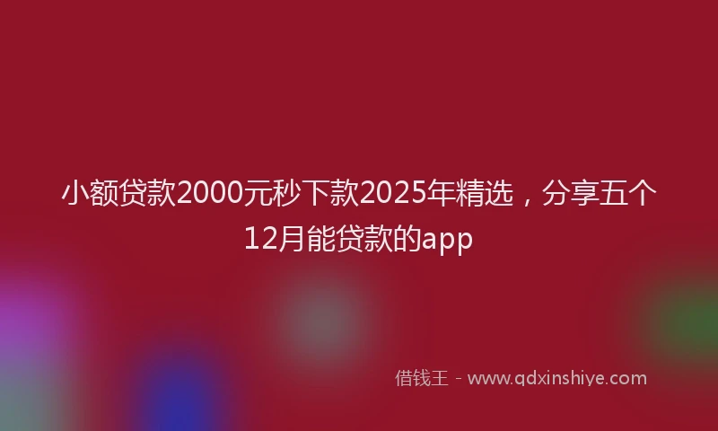 小额贷款2000元秒下款2025年精选，分享五个12月能贷款的app