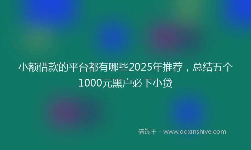 小额借款的平台都有哪些2025年推荐，总结五个1000元黑户必下小贷