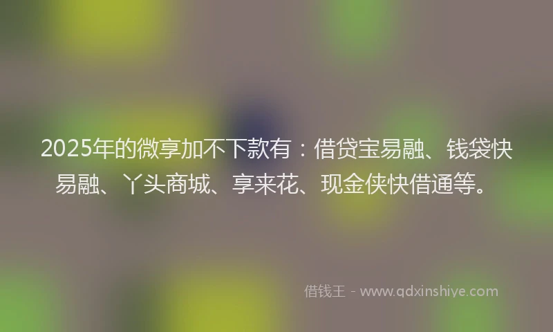 2025年的微享加不下款有：借贷宝易融、钱袋快易融、丫头商城、享来花、现金侠快借通等。