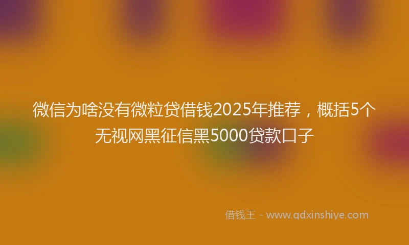 微信为啥没有微粒贷借钱2025年推荐，概括5个无视网黑征信黑5000贷款口子