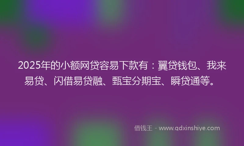 2025年的小额网贷容易下款有：翼贷钱包、我来易贷、闪借易贷融、甄宝分期宝、瞬贷通等。
