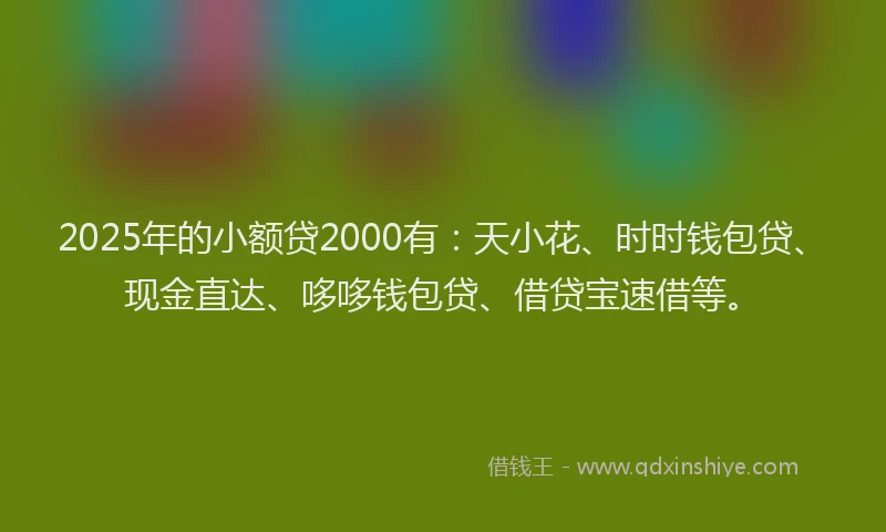 2025年的小额贷2000有：天小花、时时钱包贷、现金直达、哆哆钱包贷、借贷宝速借等。