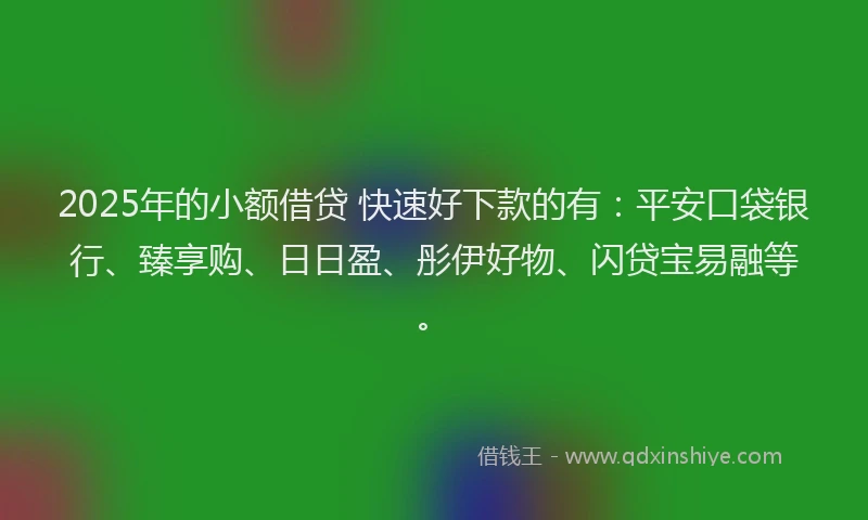2025年的小额借贷 快速好下款的有：平安口袋银行、臻享购、日日盈、彤伊好物、闪贷宝易融等。