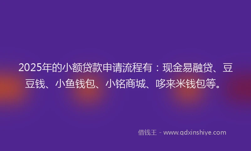 2025年的小额贷款申请流程有：现金易融贷、豆豆钱、小鱼钱包、小铭商城、哆来米钱包等。