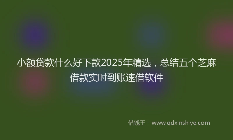 小额贷款什么好下款2025年精选，总结五个芝麻借款实时到账速借软件
