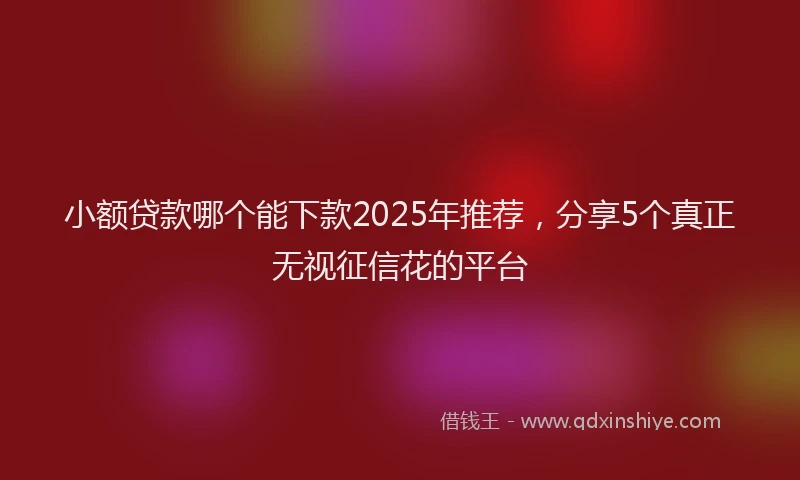 小额贷款哪个能下款2025年推荐，分享5个真正无视征信花的平台
