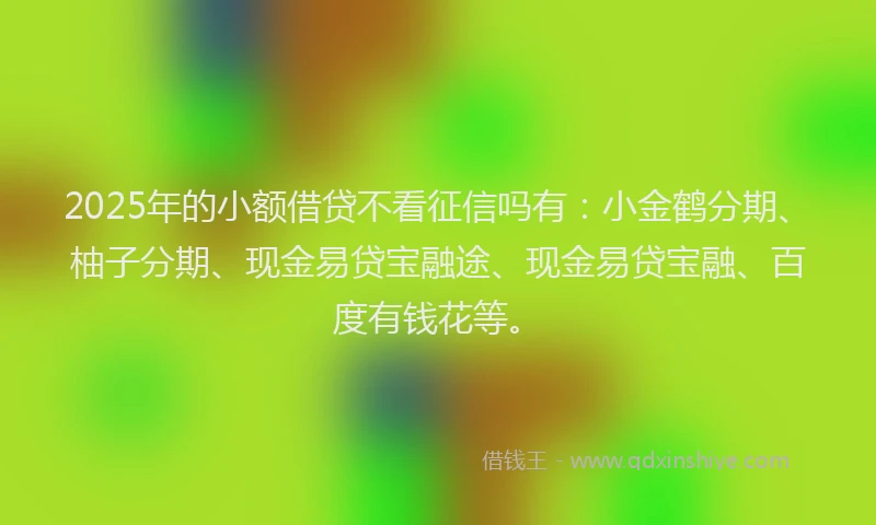 2025年的小额借贷不看征信吗有：小金鹤分期、柚子分期、现金易贷宝融途、现金易贷宝融、百度有钱花等。