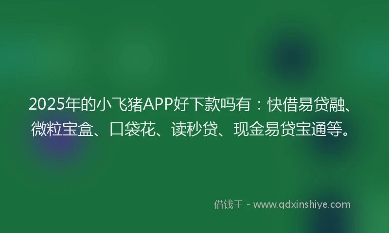 2025年的小飞猪APP好下款吗有：快借易贷融、微粒宝盒、口袋花、读秒贷、现金易贷宝通等。