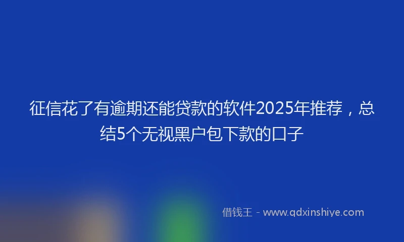 征信花了有逾期还能贷款的软件2025年推荐，总结5个无视黑户包下款的口子