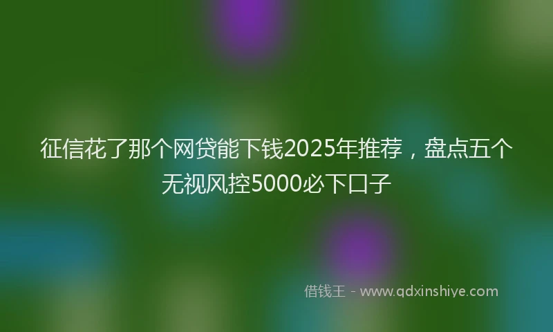 征信花了那个网贷能下钱2025年推荐，盘点五个无视风控5000必下口子