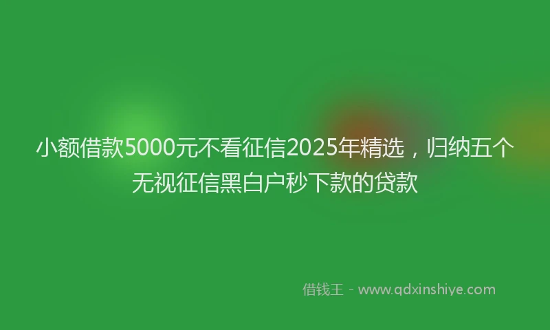 小额借款5000元不看征信2025年精选，归纳五个无视征信黑白户秒下款的贷款