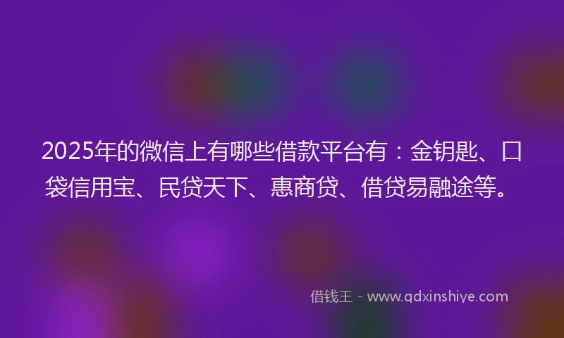2025年的微信上有哪些借款平台有：金钥匙、口袋信用宝、民贷天下、惠商贷、借贷易融途等。