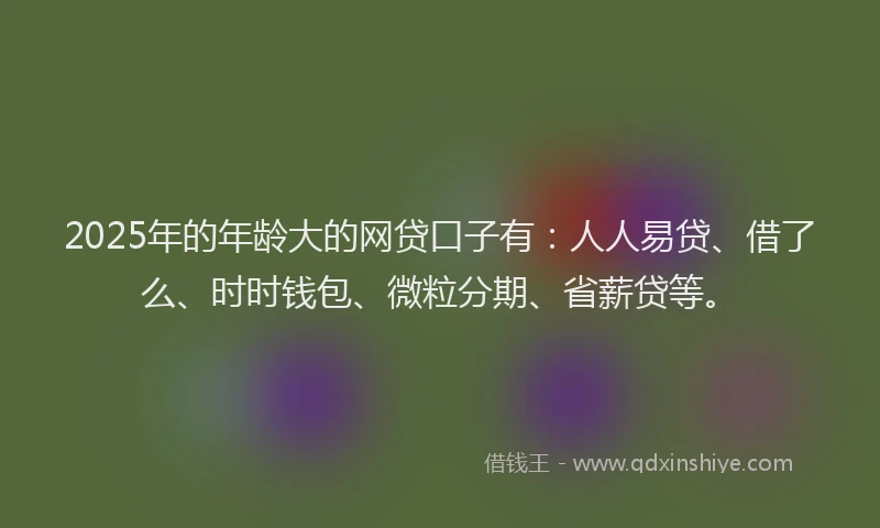 2025年的年龄大的网贷口子有：人人易贷、借了么、时时钱包、微粒分期、省薪贷等。