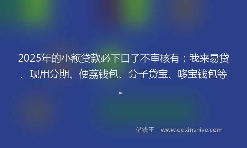 2025年的小额贷款必下口子不审核有：我来易贷、现用分期、便荔钱包、分子贷宝、哆宝钱包等。