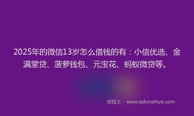2025年的微信13岁怎么借钱的有：小信优选、金满堂贷、菠萝钱包、元宝花、蚂蚁微贷等。