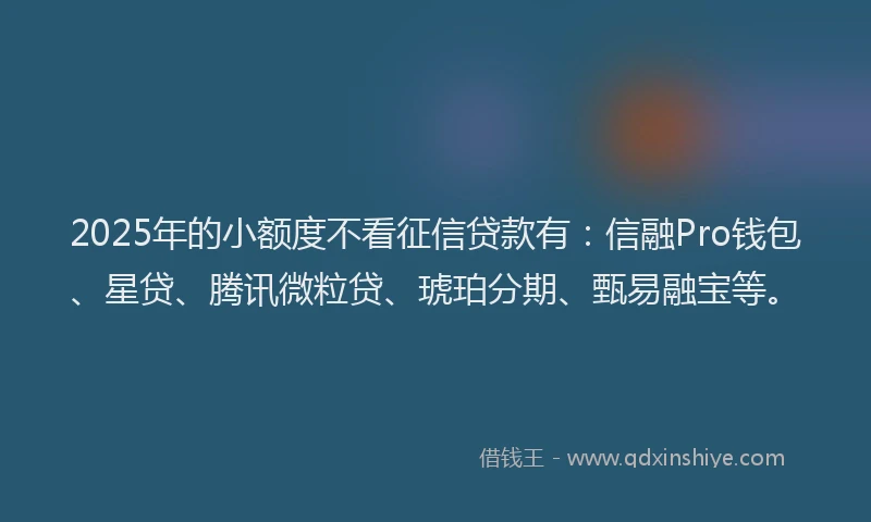 2025年的小额度不看征信贷款有：信融Pro钱包、星贷、腾讯微粒贷、琥珀分期、甄易融宝等。