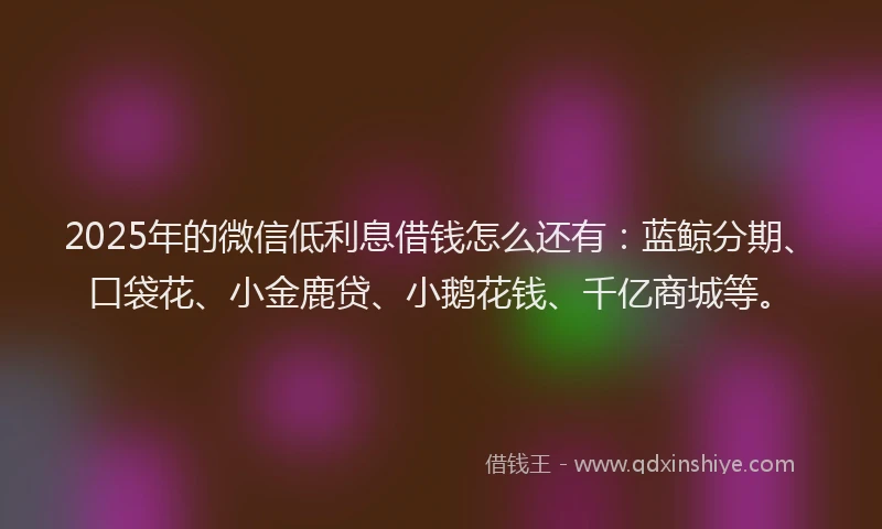 2025年的微信低利息借钱怎么还有：蓝鲸分期、口袋花、小金鹿贷、小鹅花钱、千亿商城等。