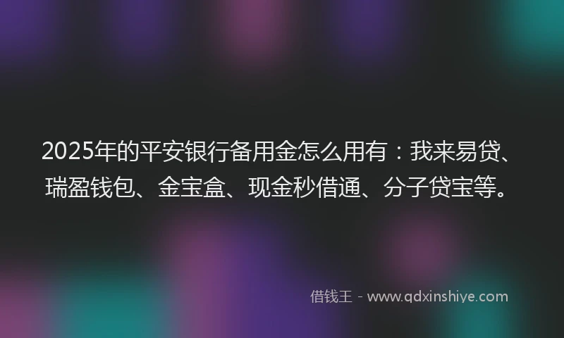2025年的平安银行备用金怎么用有：我来易贷、瑞盈钱包、金宝盒、现金秒借通、分子贷宝等。