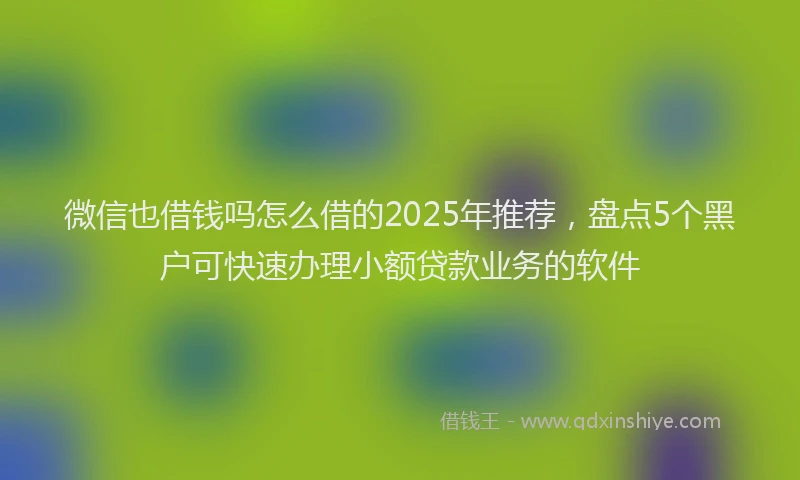 微信也借钱吗怎么借的2025年推荐，盘点5个黑户可快速办理小额贷款业务的软件