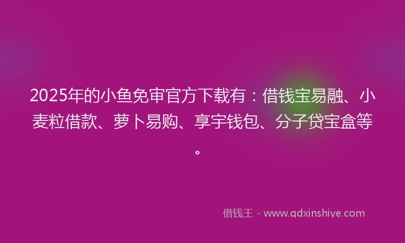 2025年的小鱼免审官方下载有：借钱宝易融、小麦粒借款、萝卜易购、享宇钱包、分子贷宝盒等。